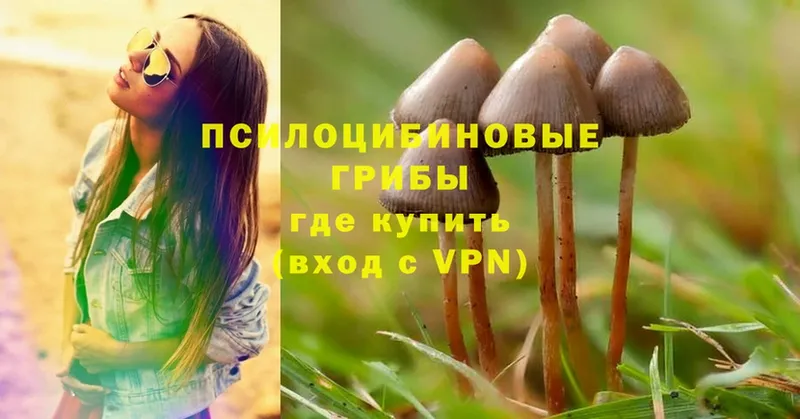 Галлюциногенные грибы Magic Shrooms  ссылка на мегу онион  Великий Устюг  что такое  